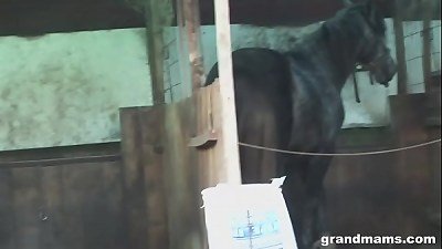 The wife of an old farmer has sex with a big cock in the backyard.