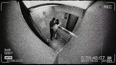 Viral leak of a well-dressed girl engaging in sexual activity in an elevator