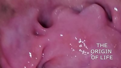 The beginning of life: a biological and scientific perspective